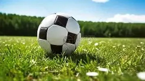 奥纳纳今夏曼联弃将困境：世预赛遗憾出局，非洲杯梦想再成泡影！